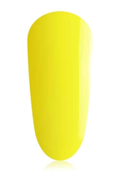 daffodil-blossom-thegelbottle